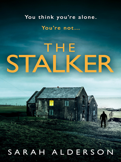 Title details for The Stalker by Sarah Alderson - Wait list